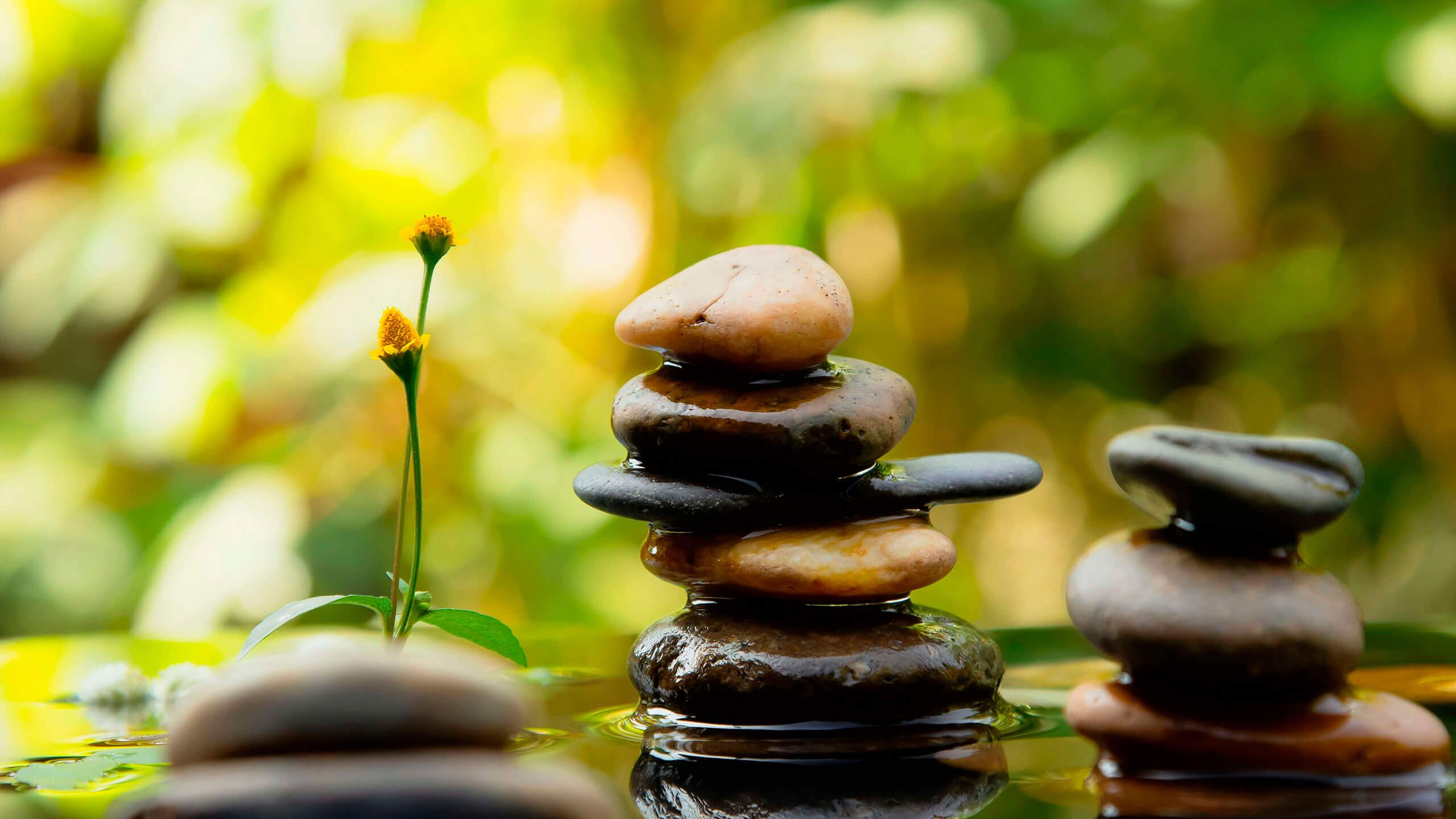 Aufmacherbild von gestapelten, flachen Steinen im Wasser. Das Bild strahlt Ruhe aus.